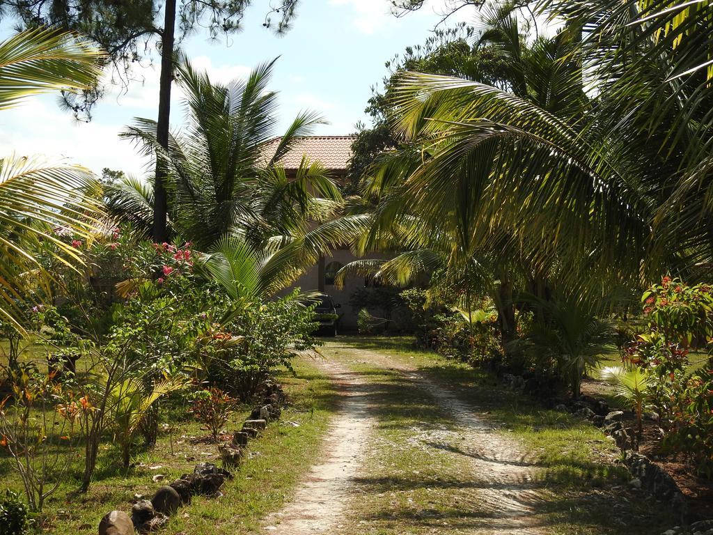 Becks Bed & Breakfast Crooked Tree 외부 사진