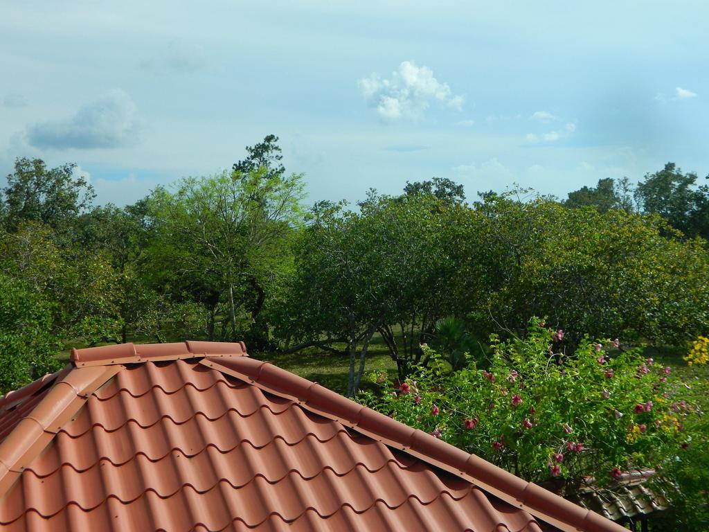 Becks Bed & Breakfast Crooked Tree 외부 사진